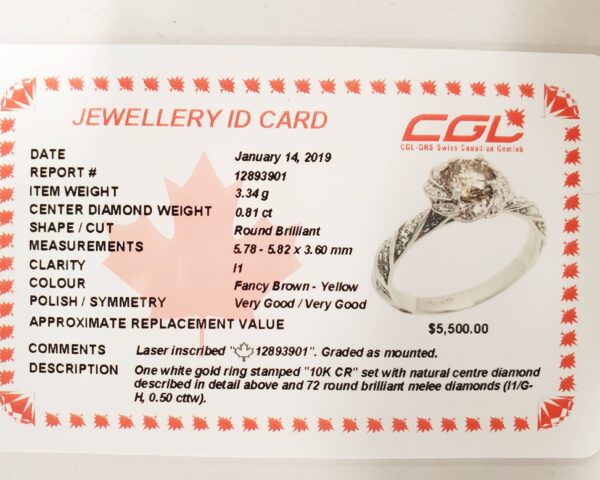 0.81 Carat Canadian Diamond Flower Engagement Ring in White Gold - Image 4