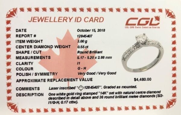 0.55 Carat Canadian Diamond Royal Style Engagement Ring in 14K White Gold - Image 4