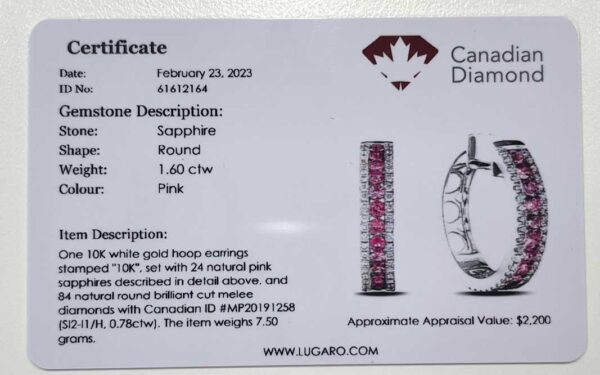 Pink Sapphire & Canadian Diamond Hoop Earrings in White Gold on ear model
