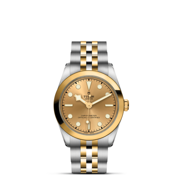 TUDOR Black Bay One 31 S&G M79603-0005