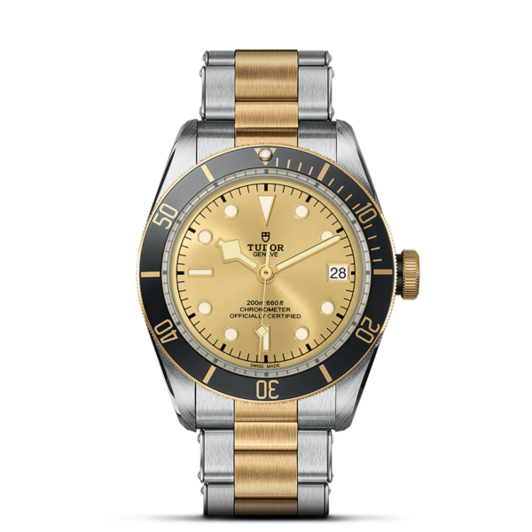 TUDOR Black Bay 41 mm S&G Steel Case Steel and Gold Bracelet M79733N-0004