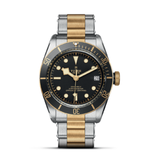 TUDOR Black Bay S&G 41 mm Steel Case and Gold Bracelet M79733N-0008