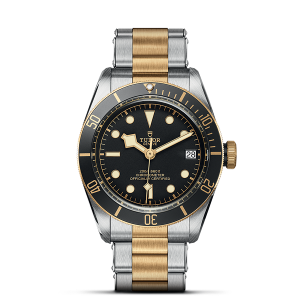 TUDOR Black Bay S&G 41 mm Steel Case and Gold Bracelet M79733N-0008