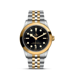 TUDOR Black Bay 39 mm S&G M79663-0001