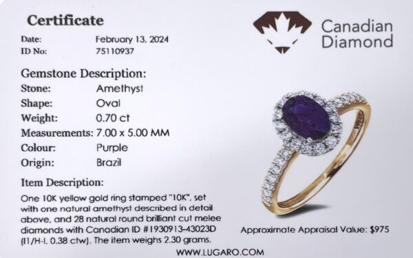 Brazilian Amethyst & Canadian Diamond Oval Halo Ring in Yellow Gold