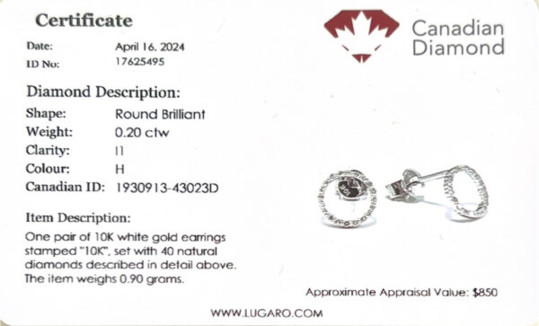 Circle Diamond Stud Earrings in White Gold