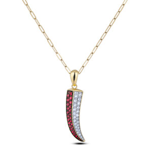 Ruby and Diamond Men's Dragon Claw Pendant in 18K Yellow Gold