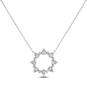 Canadian Diamond Circle Pendant In White Gold