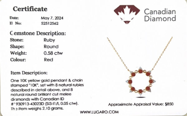 Ruby and Canadian Diamond Circle Pendant In Yellow Gold