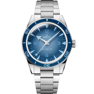 Omega Seamaster 300 41 MM Steel On Steel 234.30.41.21.03.002