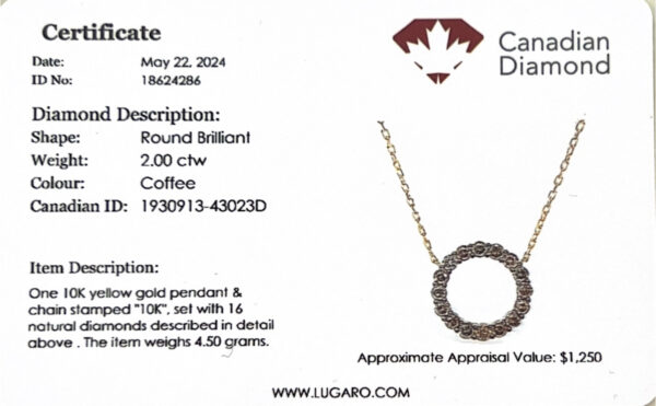 Canadian Coffee Diamond Circle Necklace in Yellow Gold