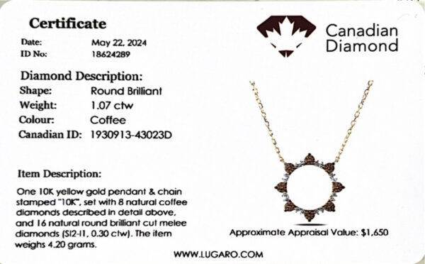 Canadian Coffee Diamond Starburst Circle Necklace in Yellow Gold
