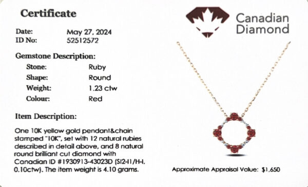 Canadian Diamond and Ruby Circle Necklace in Yellow Gold