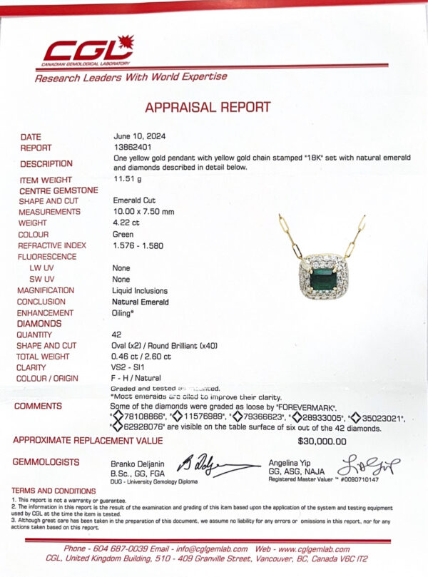 Natural Emerald And De Beers Forevermark Diamond Double Halo Pendant in 18K Yellow Gold