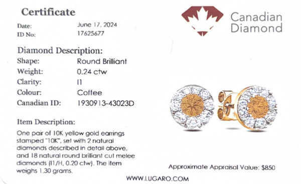 Canadian Diamond Coffee Halo Studs Earrings in Yellow Gold