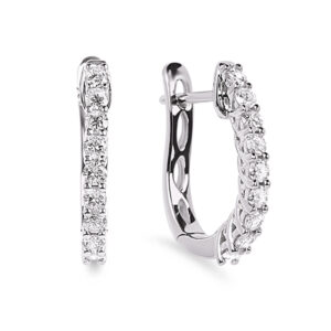 Canadian Diamond Dainty Hoop Earrings in 10K White Gold