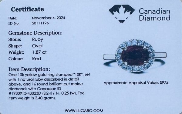 Oval Shaped Ruby and Canadian Diamond Halo Ring in Yellow Gold