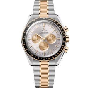 Omega Speedmaster Moonwatch Professional 42 mm 310.20.42.50.02.001