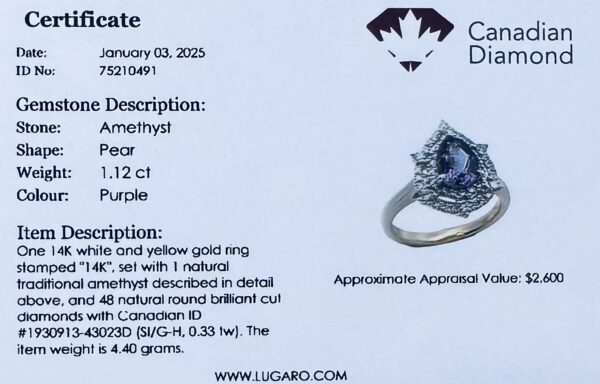 Pear Shape Amethyst and Canadian Diamond Double Halo Ring in 14K Gold