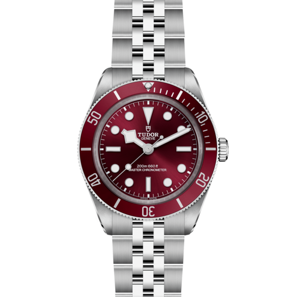 TUDOR Black Bay Fifty-Eight 39 mm Steel Case Steel Bracelet M7939A1A0RU-0001 - Image 2