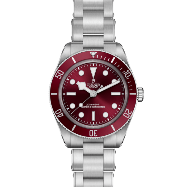 TUDOR Black Bay Fifty-Eight 39 mm Steel Case Steel Bracelet M7939A1A0RU-0002 - Image 2