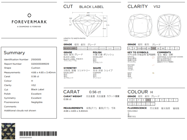 Black Label Ideal Cushion Cut De Beers Forevermark Diamond Trilogy Engagement Ring in Platinum