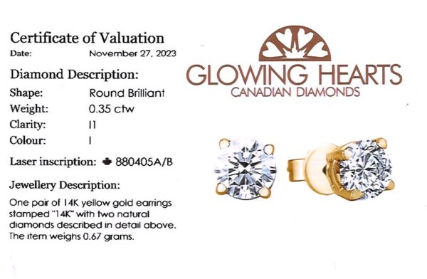 0.35 Carat TW Canadian Diamond Stud Earrings in 14K Yellow Gold