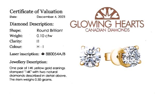 0.10 Carat TW Canadian Diamond Stud Earrings in 14K Yellow Gold