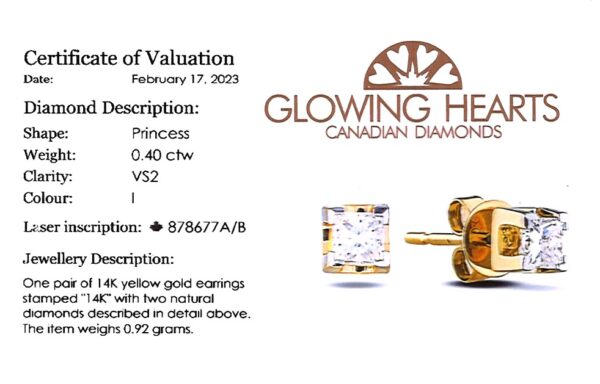 0.40 Carat TW Princess Cut Canadian Diamond Stud Earrings in 14K Yellow Gold