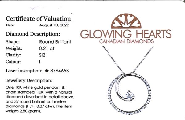 Canadian Diamond Swirl Circle Pendant in 10K White Gold