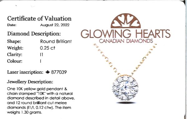 Canadian Diamond Classic Halo Pendant in White and Yellow Gold