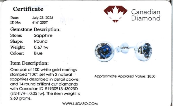 Sapphire and Canadian Diamond Bezel Set Stud Earrings in White Gold