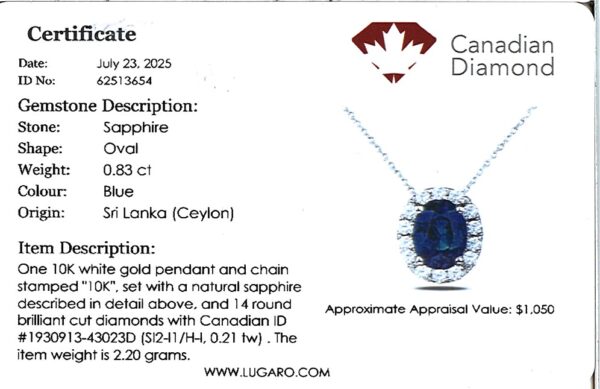 Oval Ceylon Sapphire & Canadian Diamond Oval Halo Pendant in White Gold