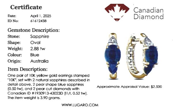 Australian Sapphire and Pear Cut Canadian Diamond Hoop Earrings in Yellow Gold