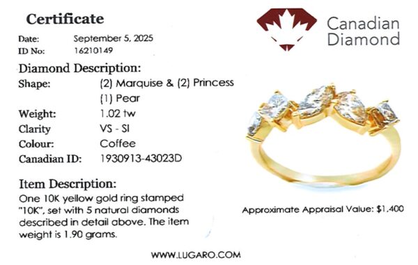 Canadian Coffee Diamond Mosaic Style 5 Stone Anniversary Ring in Yellow Gold