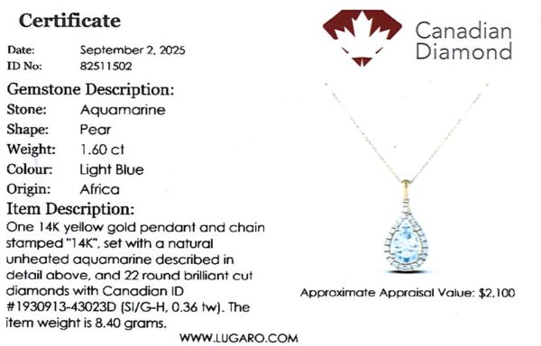 Non Heated African Aquamarine and Canadian Diamond Pear Shaped Halo Pendant in 14K Yellow Gold
