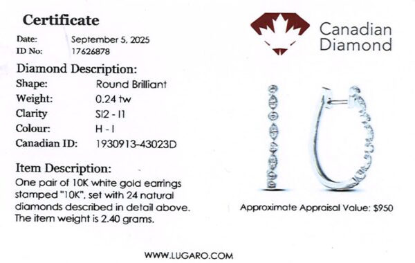 Canadian Diamond Hoop Earrings in White Gold | 0.24 Carat TW