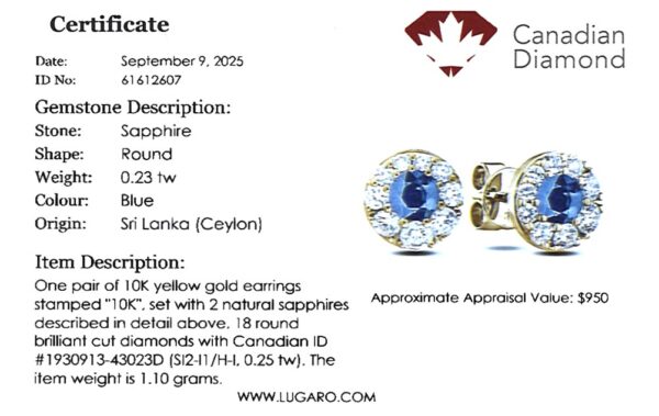Ceylon Sapphire and Canadian Diamond Halo Stud Earrings in Yellow Gold