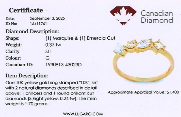 Canadian Diamond Mosaic Style Anniversary Ring in Yellow Gold