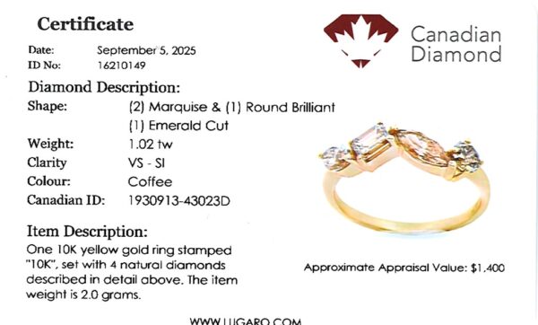 Canadian Coffee Diamond Mosaic Anniversary Ring in Yellow Gold