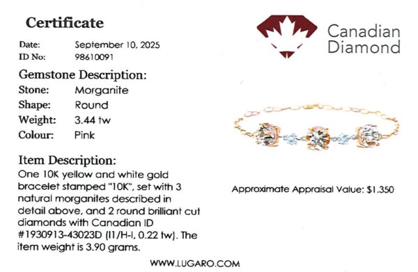 Canadian Diamond and Morganite Bracelet with Paperclip Chain