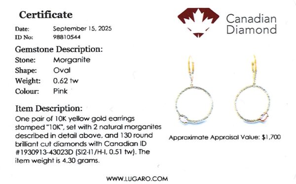 Oval Shaped Morganite and Canadian Diamond Circle Drop Earrings in Yellow Gold | 0.62 Carat TW