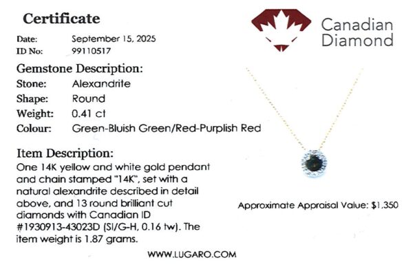 Alexandrite and Canadian Diamond Halo Pendant In 14K Yellow and White Gold