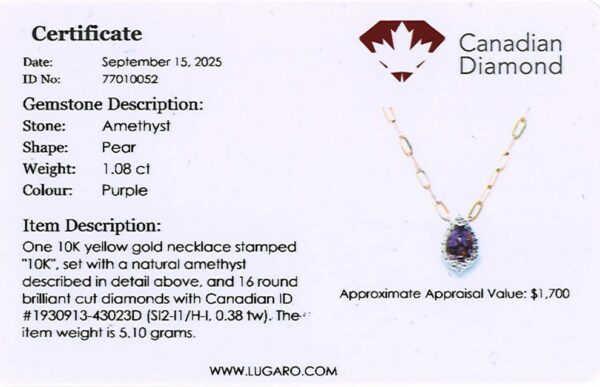 Amethyst and Canadian Diamond Halo Paperclip Chain Necklace in Yellow Gold