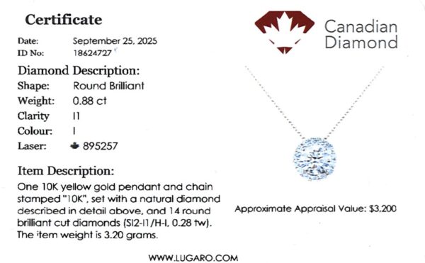 Round Brilliant Cut Canadian Diamond Halo Pendant in Yellow Gold