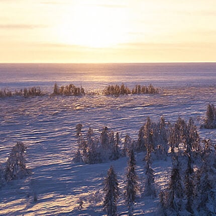 Real Diamonds, Real Responsibility