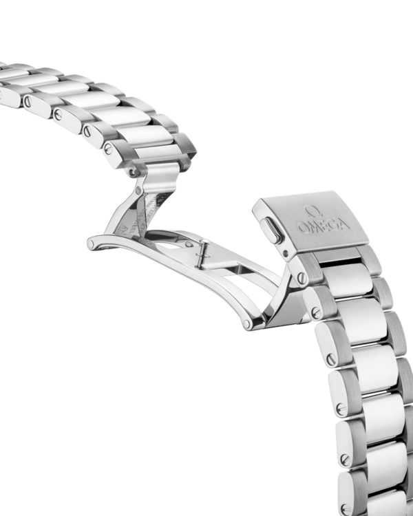Omega Seamaster Aqua Terra 150m Co-axial Master Chronometer 41 mm 220.10.41.21.06.001 - Image 3