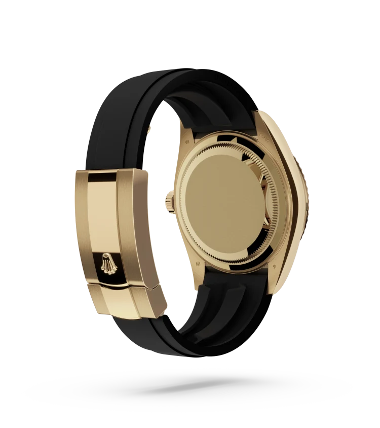 m336238 0002 cor sp